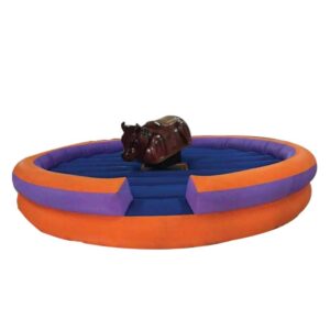 Mechanical Bull Ride